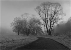 Dezembernebel