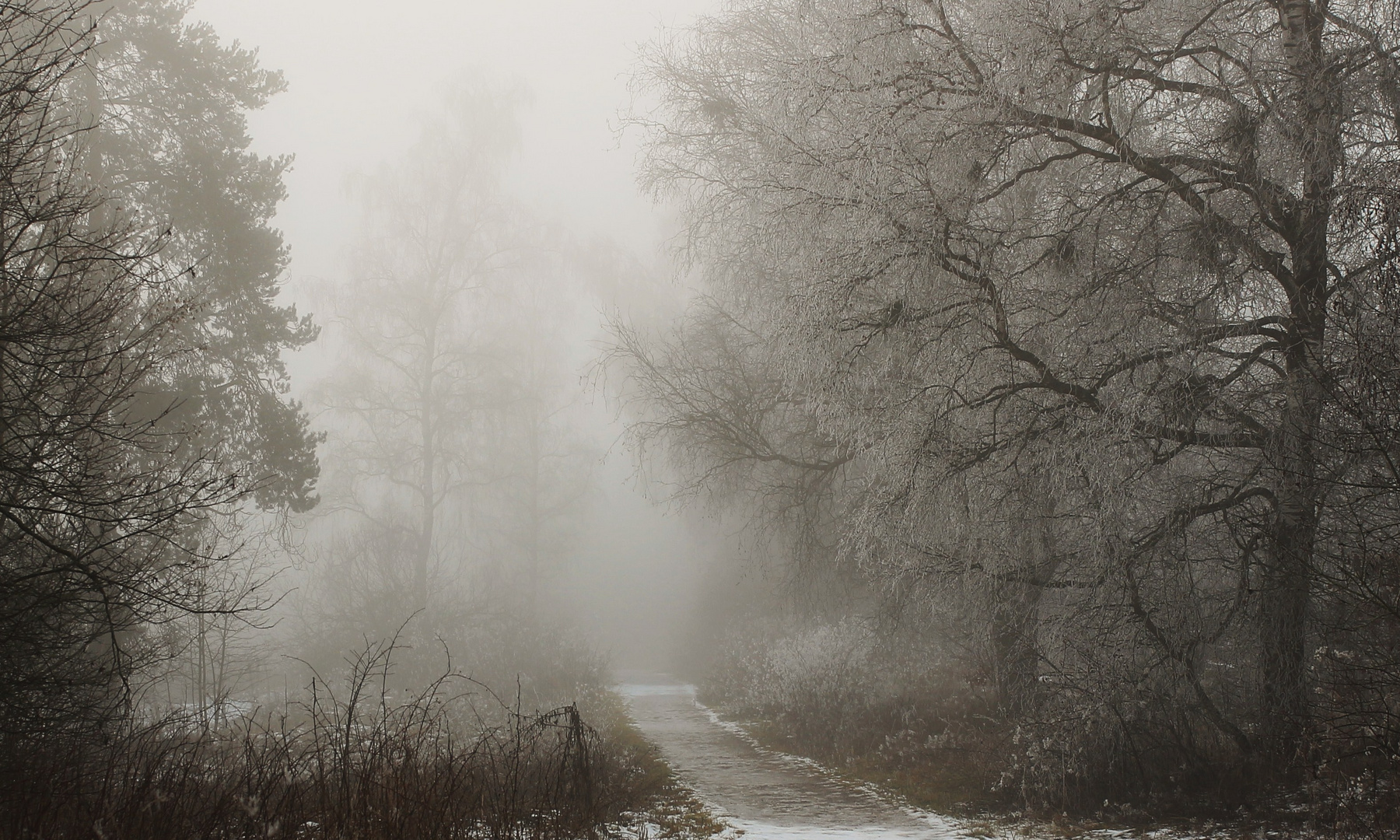 Dezembernebel (10)