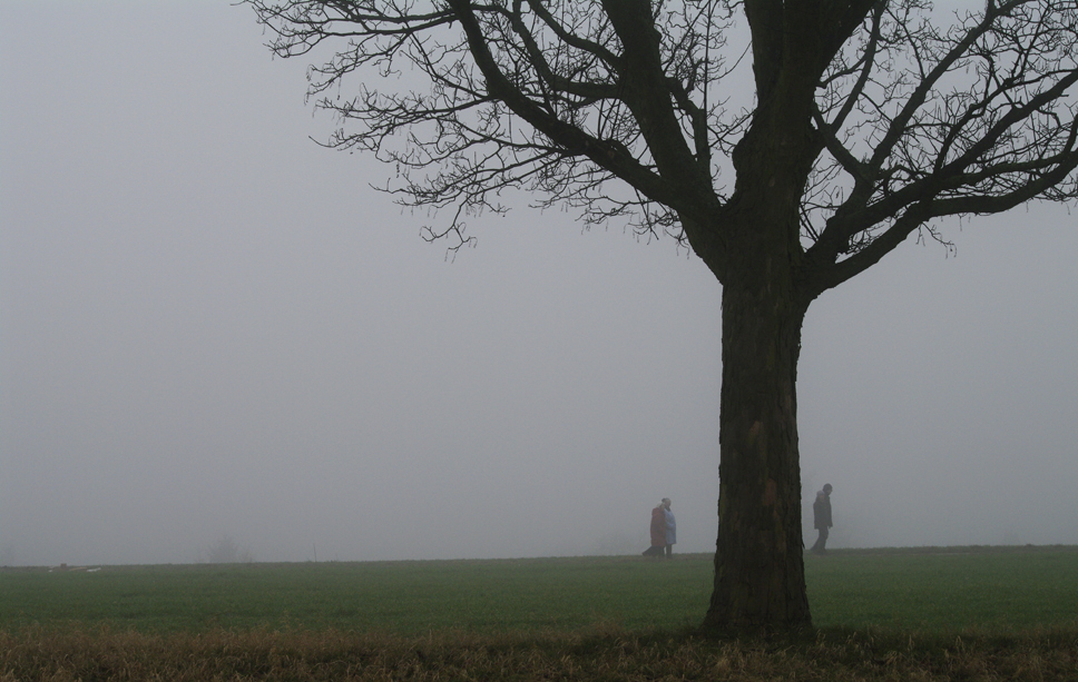 Dezembernebel 2