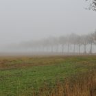 Dezembernebel