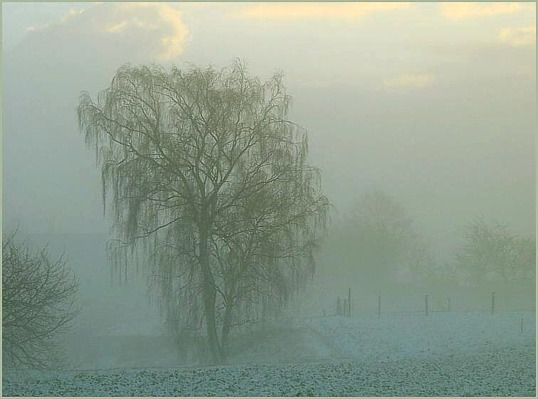 Dezembernebel