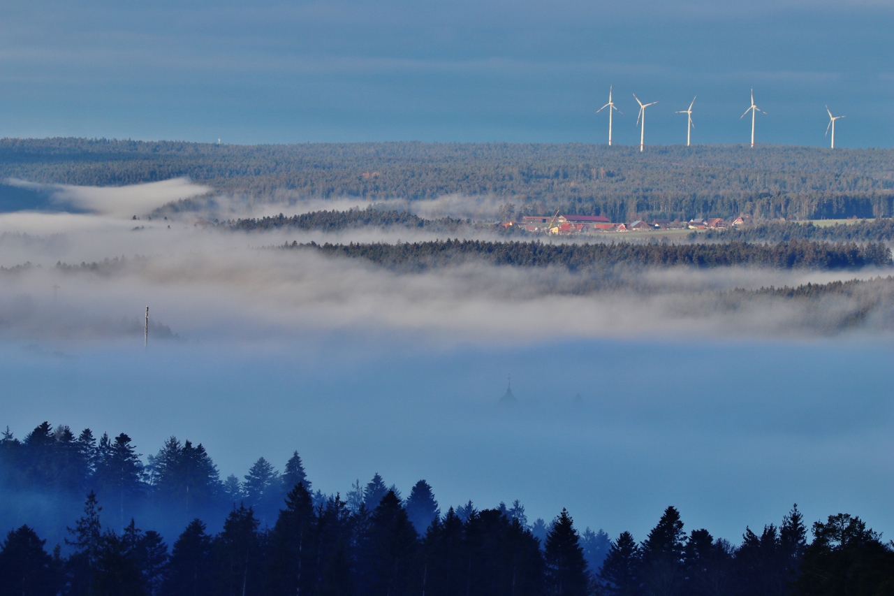 Dezembernebel...