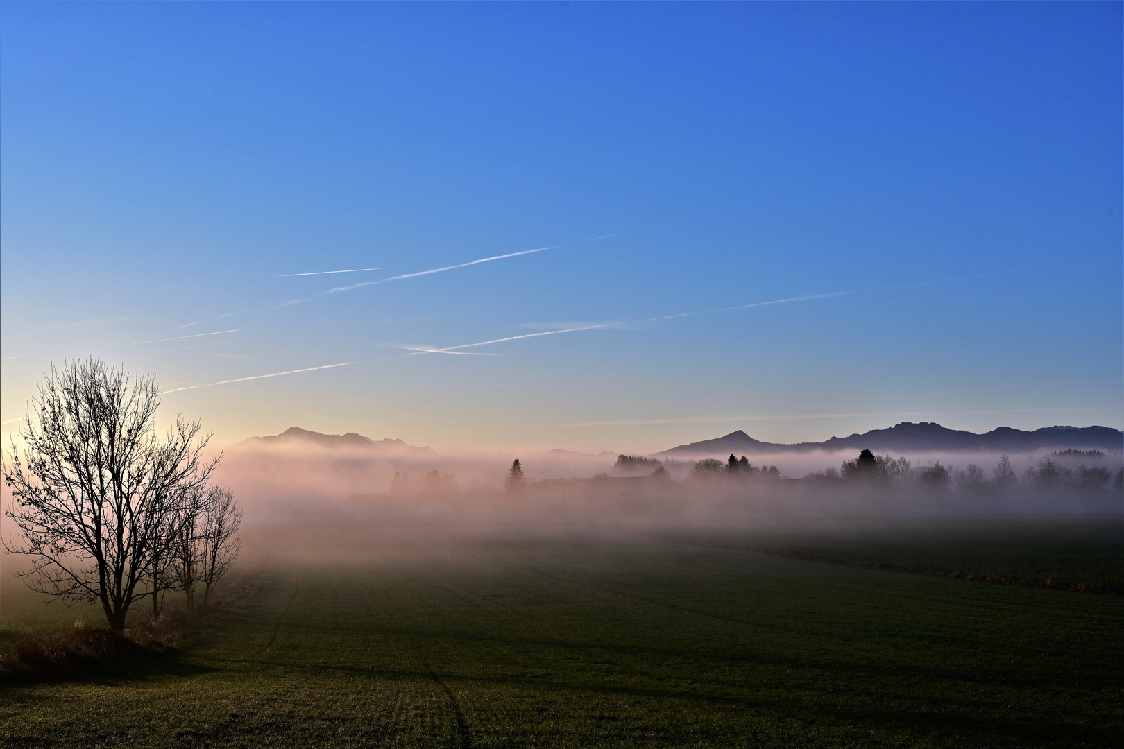 Dezembernebel