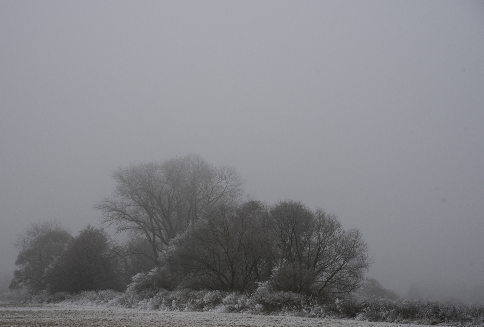 dezembernebel