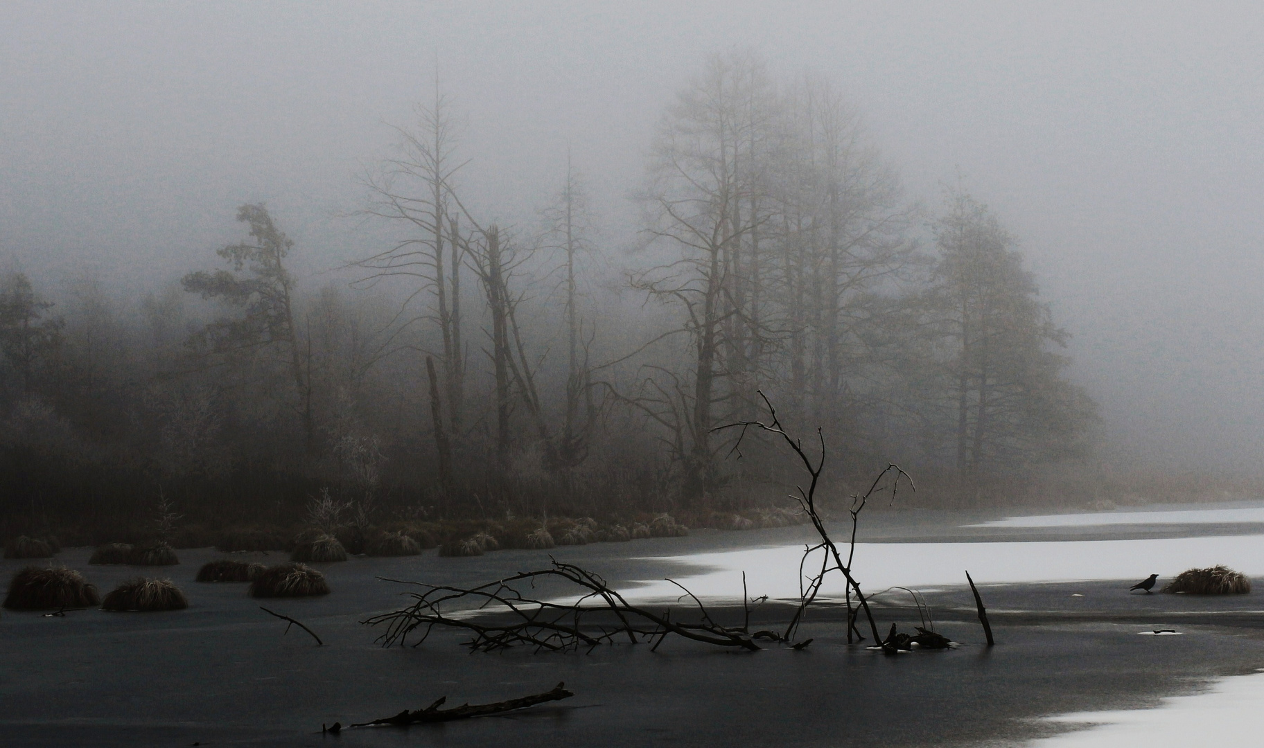 Dezembernebel (9)