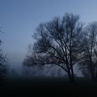 Dezembernebel