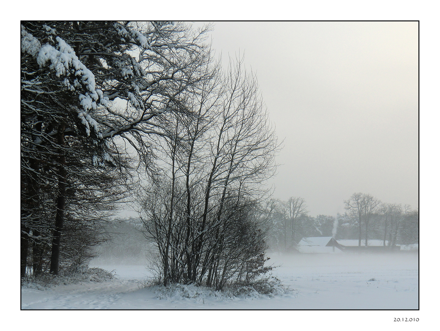 Dezembernebel