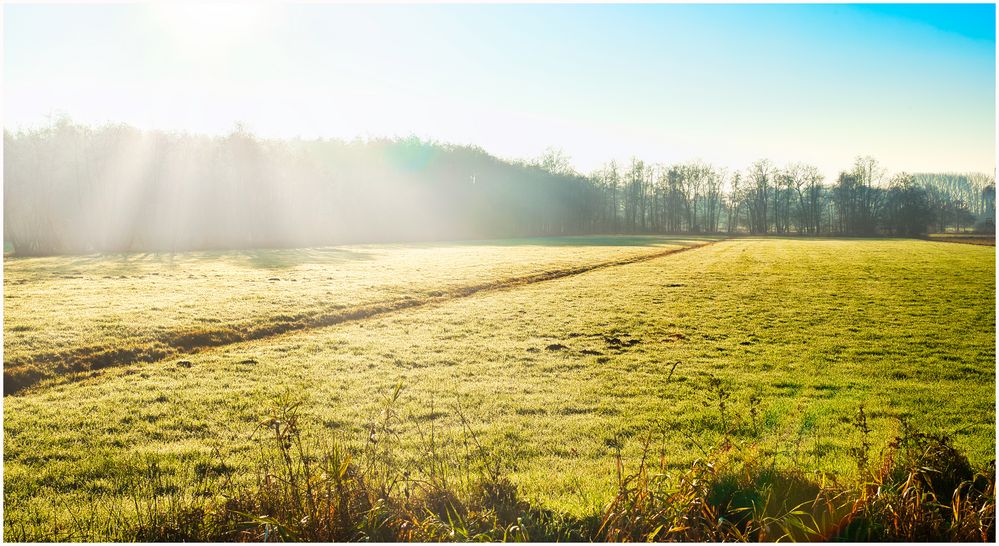 Dezembernebel