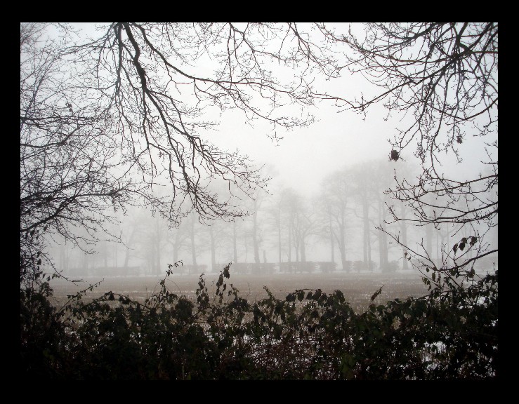 Dezembernebel