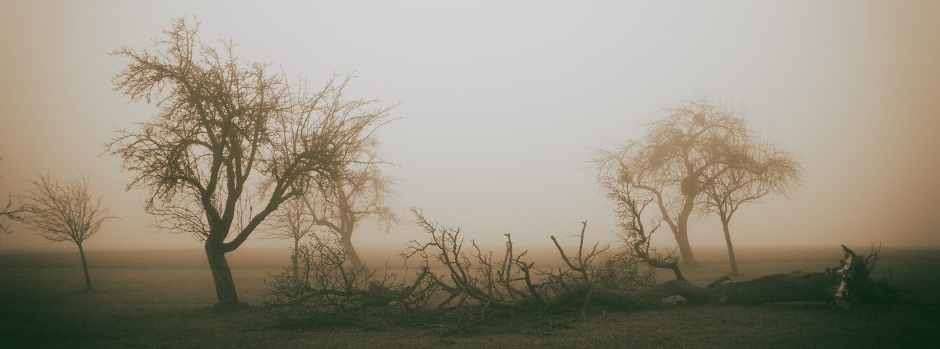 Dezembernebel