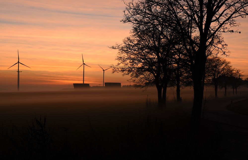 Dezembernebel in der Oberpfalz