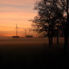 Dezembernebel in der Oberpfalz