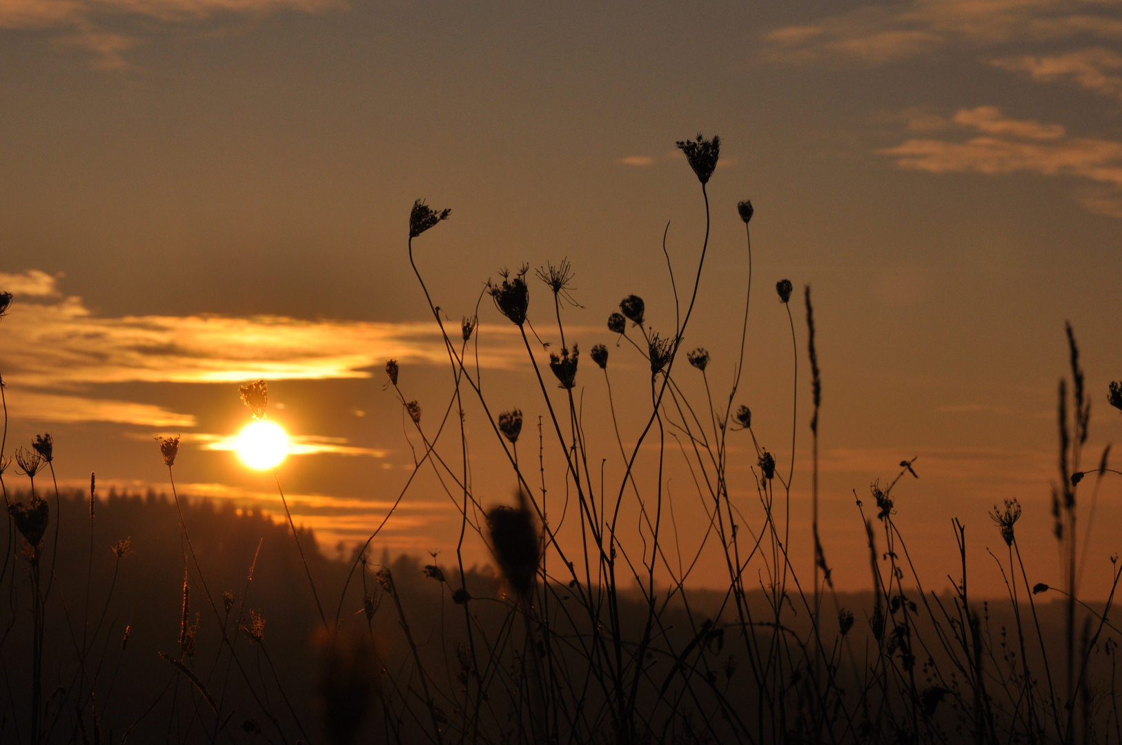 Dezembersonne