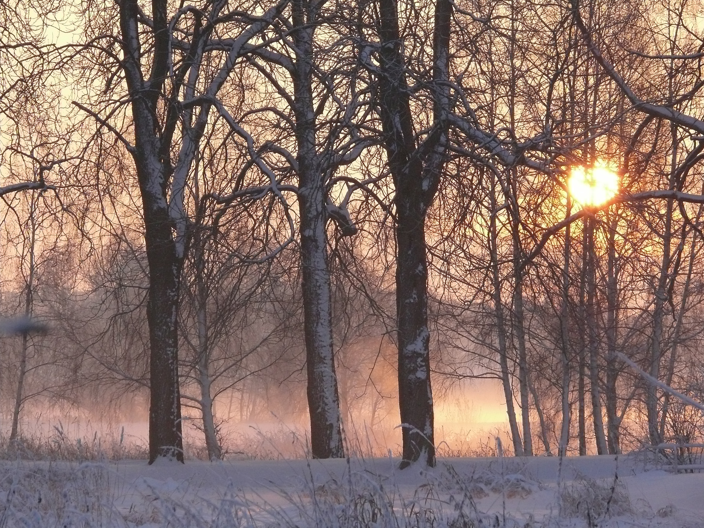 Dezembersonne