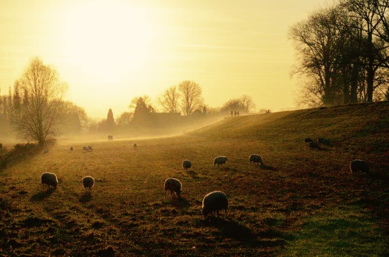 Dezembersonne