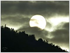 Dezembersonne im Harz