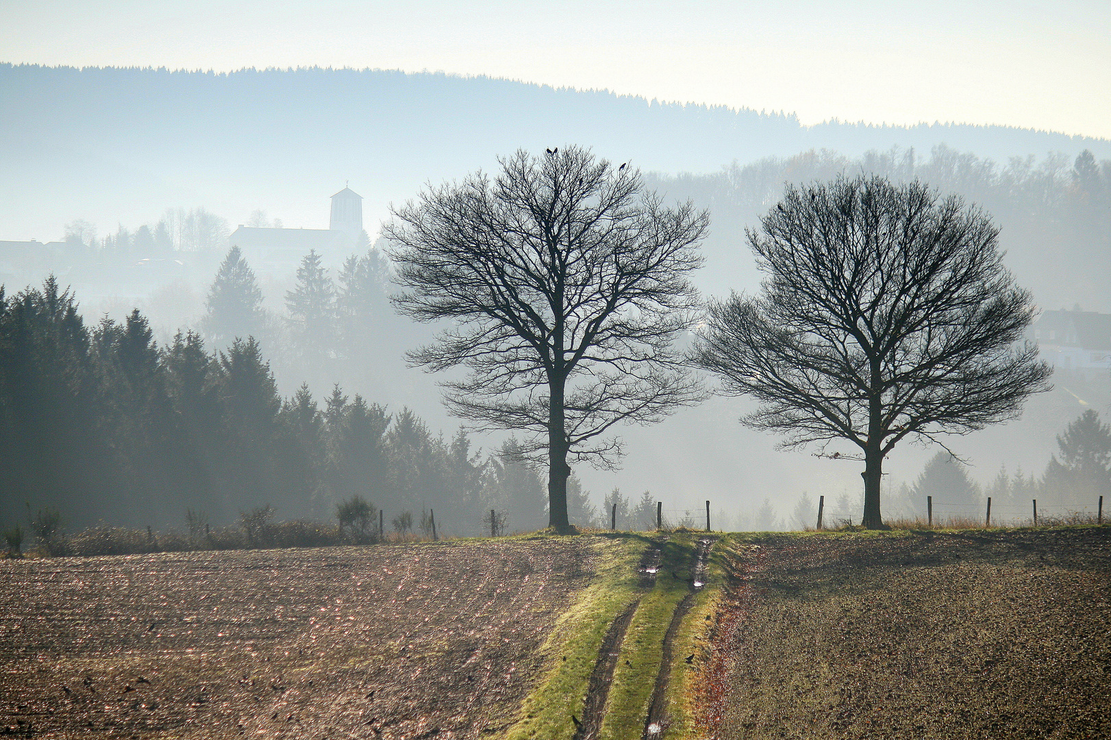 Dezembersonnentag