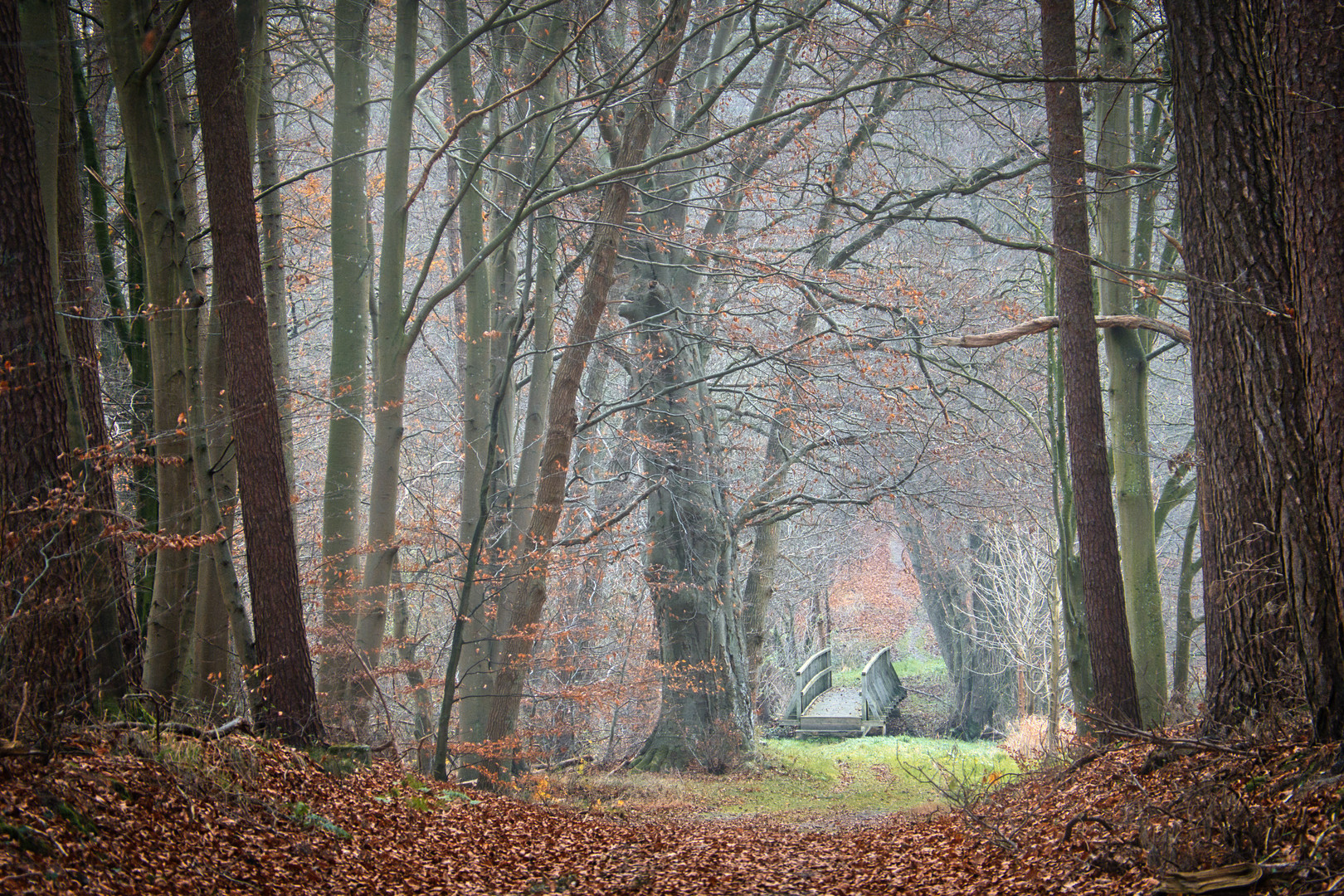 Dezemberspaziergang