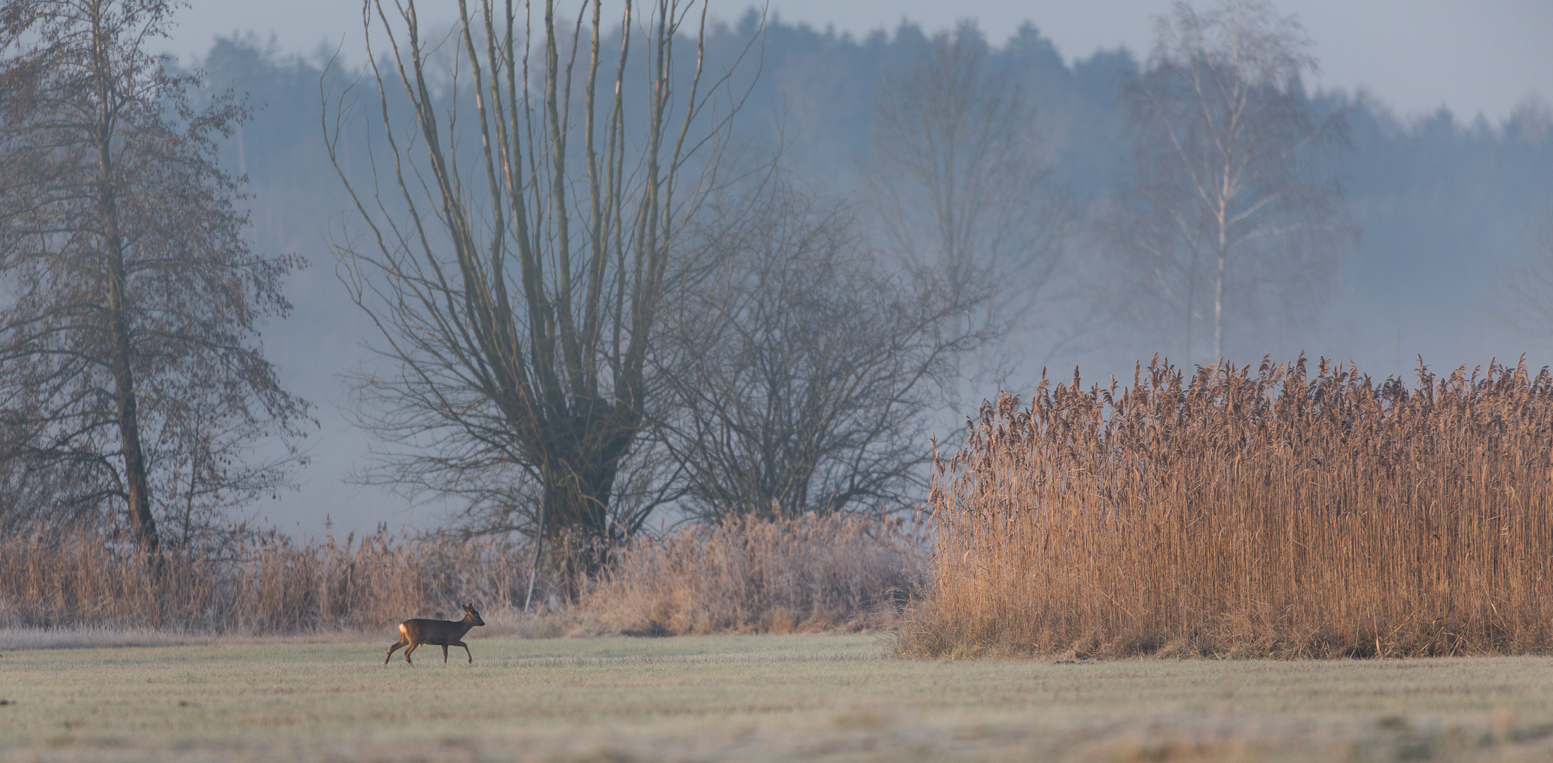 Dezemberstimmung...