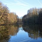 Dezemberstimmung am Weiher