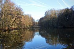 Dezemberstimmung am Weiher