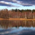 Dezemberstimmung ohne Schnee