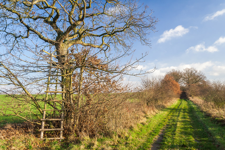 Dezemberwanderung