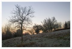 Dezemberwiese am Morgen