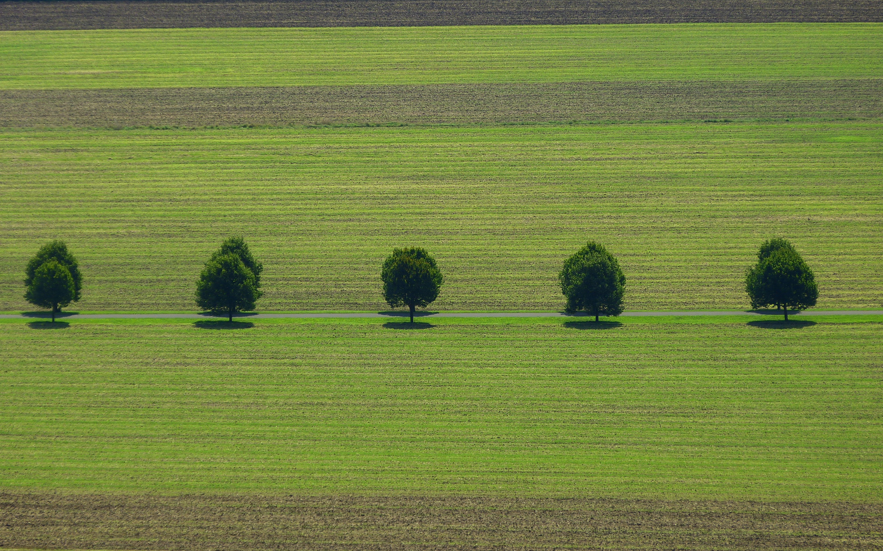 Dezent gestreift in den Herbst...