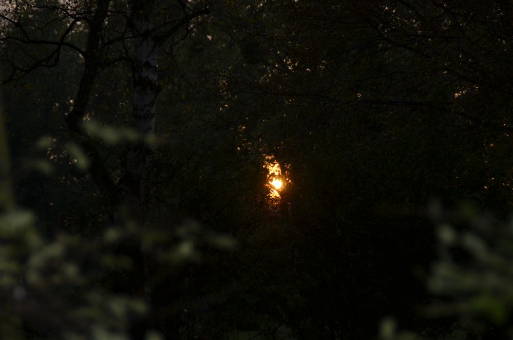 Das letzte Licht des Tages von Rainer Lüneberg 