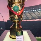 DFB Pokal - Faltin Travel