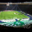 DFB Pokalfinale 2009 Berlin.