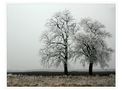 Väterchen Frost von Helga Jobst