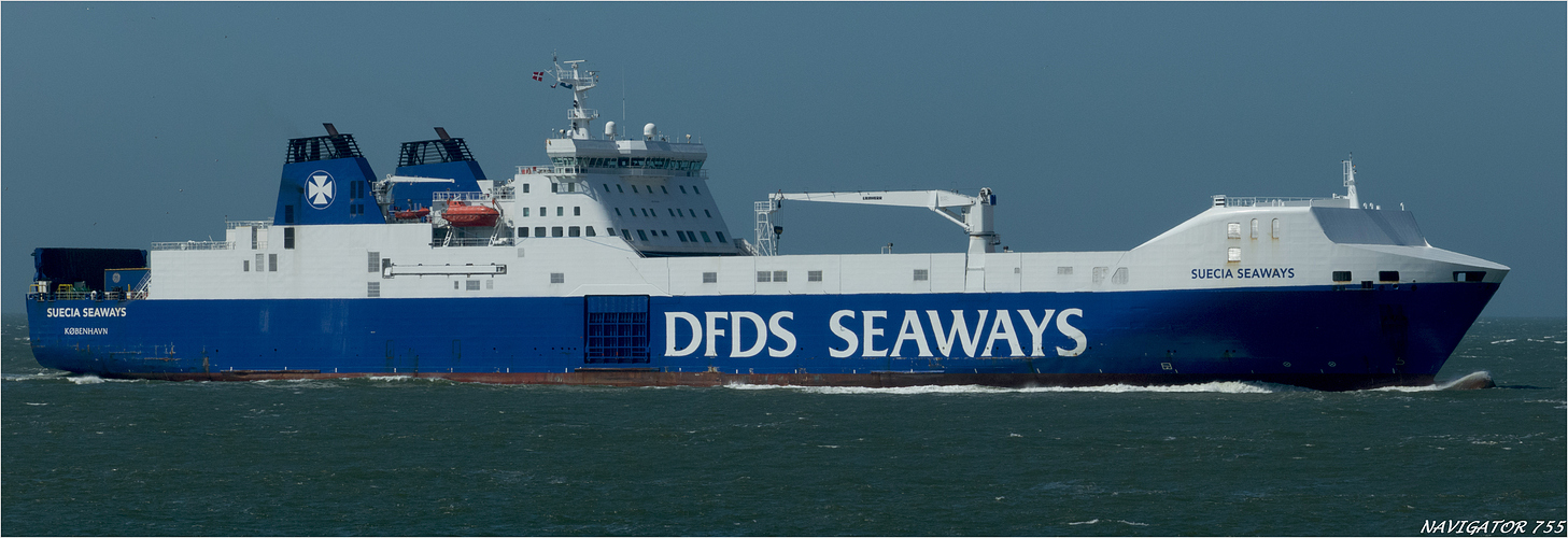 DFDS SUECIA /  Ro-ro Cargo / Rotterdam