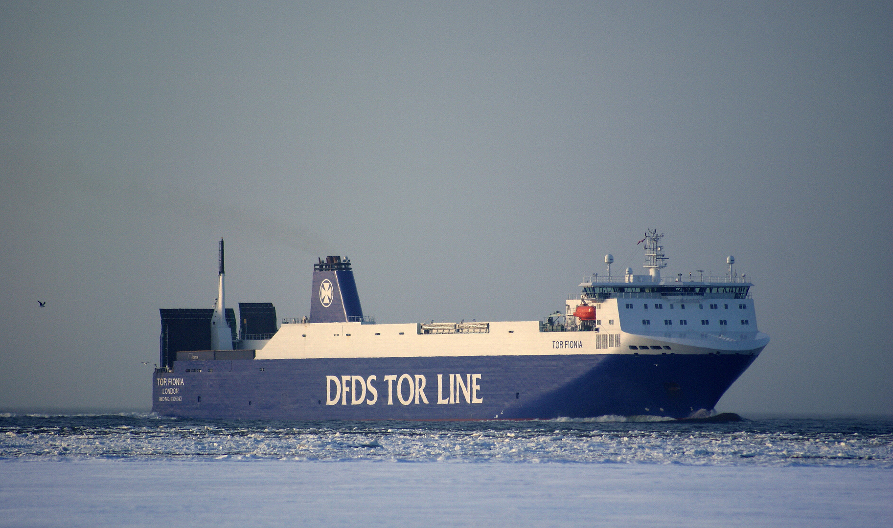 "DFDS TOR LINE"....Tor Fionia