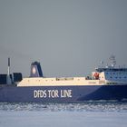 "DFDS TOR LINE"....Tor Fionia