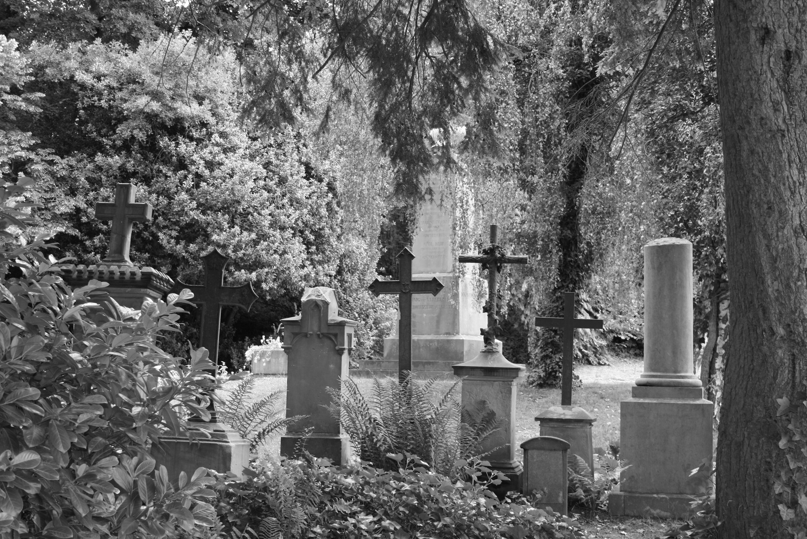 DFG Ehrenfriedhof