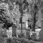 DFG Ehrenfriedhof
