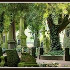 DFG Saarbrücken alter Friedhof