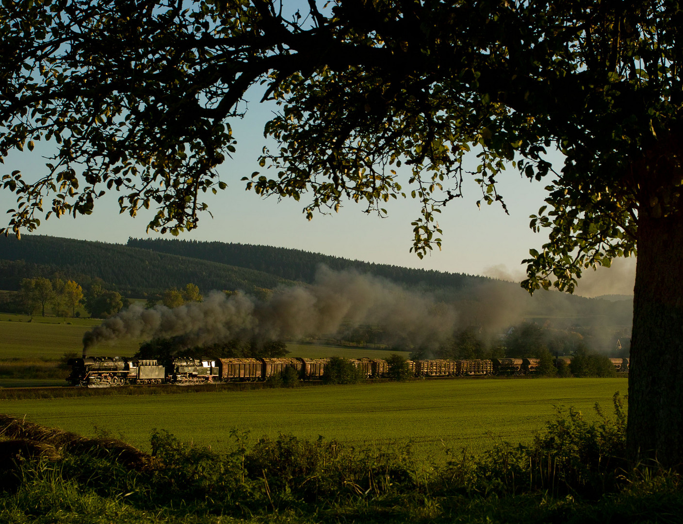 DGz 208 bei Hüttenhof (08.10.2010)