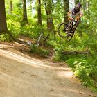 DH Winterberg