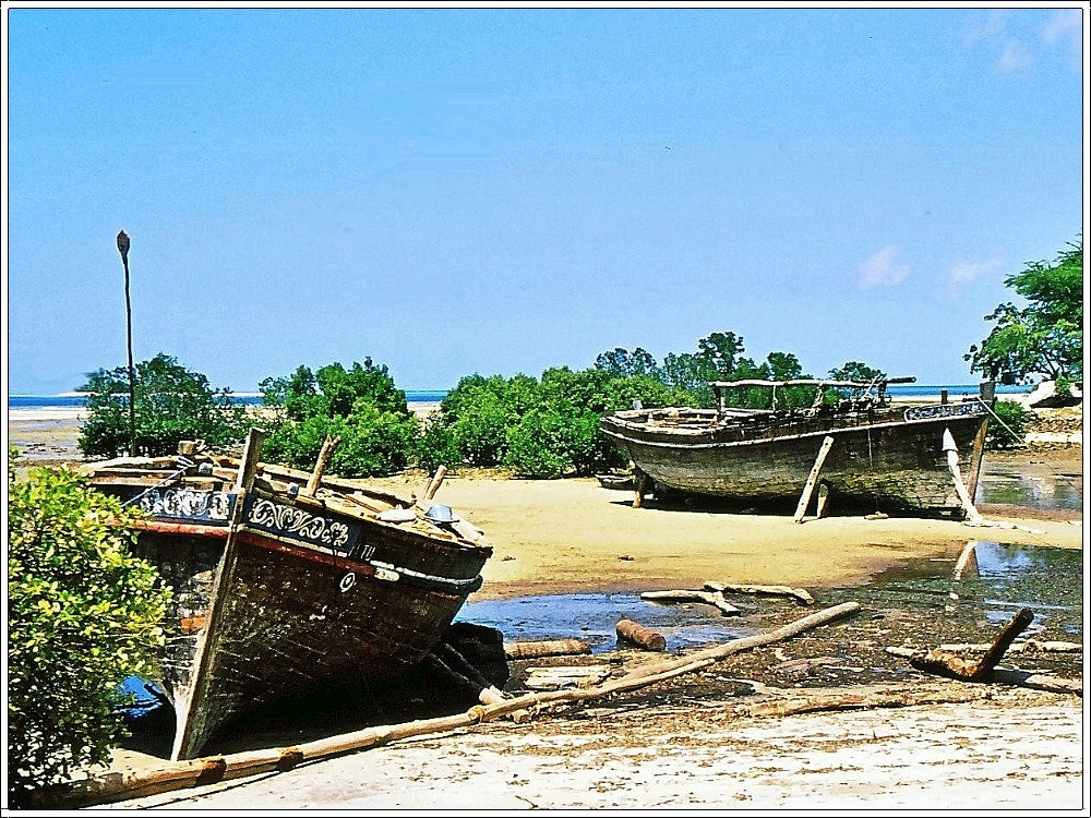 Dhau-Werft in Zanzibar