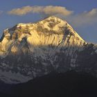 Dhaulagiri 8172 M 