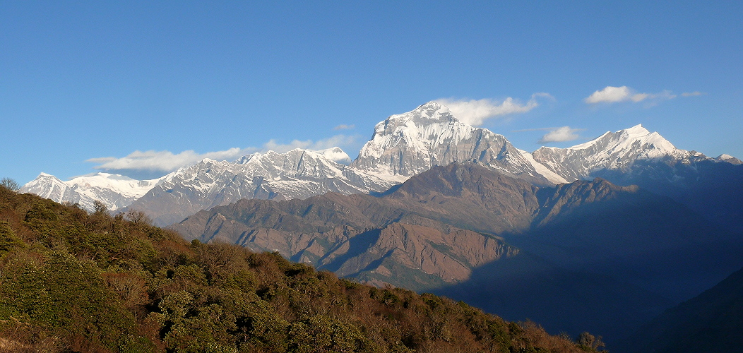 Dhaulagiri am frühen Morgen