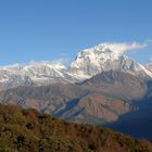 Dhaulagiri am frühen Morgen