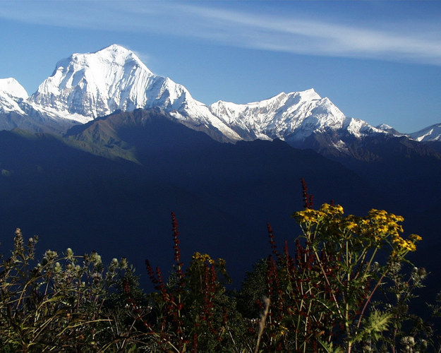 Dhaulagiri, der 8höchste Berg der Welt (~8200m)