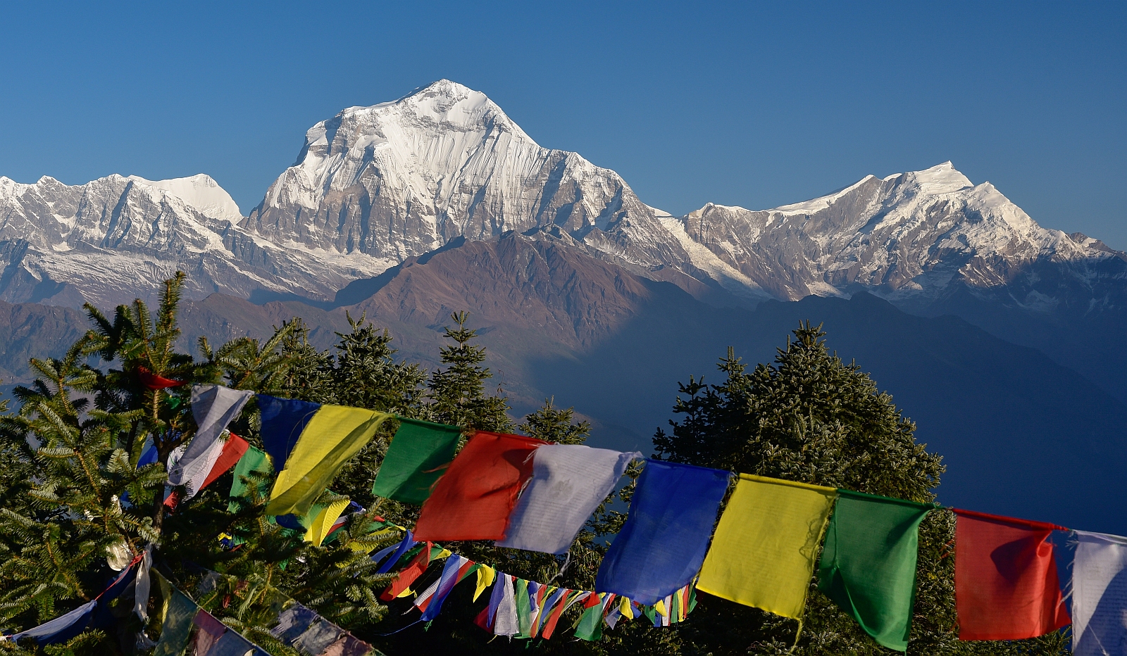 Dhaulagiri