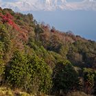 Dhaulagiri I - 8172 m