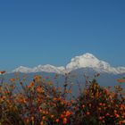 Dhaulagiri-Kette