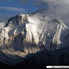 DHAULAGIRI - The White Mountain